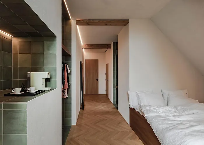 Otel Lukas Kapeller Und Restaurant Steyr