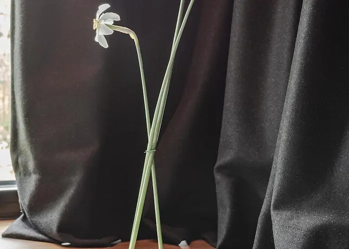 Lukas Kapeller Und Restaurant Steyr